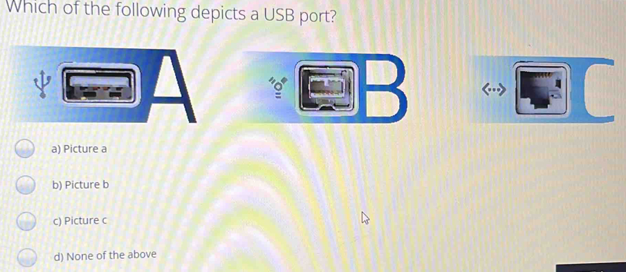 Which of the following depicts a USB port? a Picture a b Picture b c Picture c d None of the above